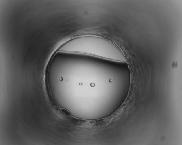 X0000103410148200809120957