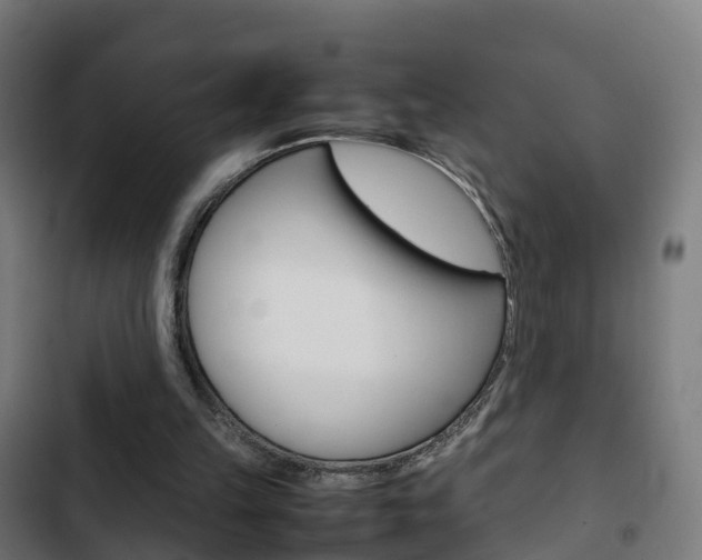 X0000103410149200809120957