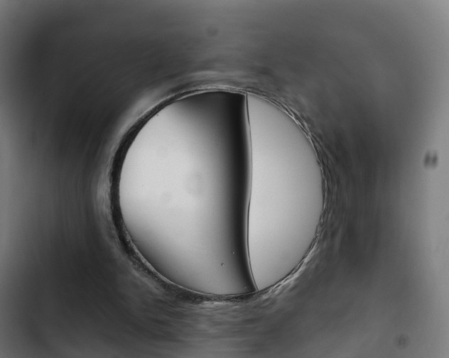 X0000103410150200809120957