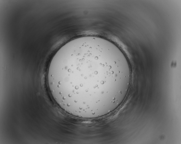 X0000103410153200809120957