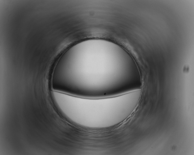 X0000103410154200809120957