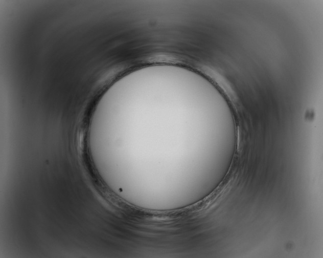 X0000103410157200809120957