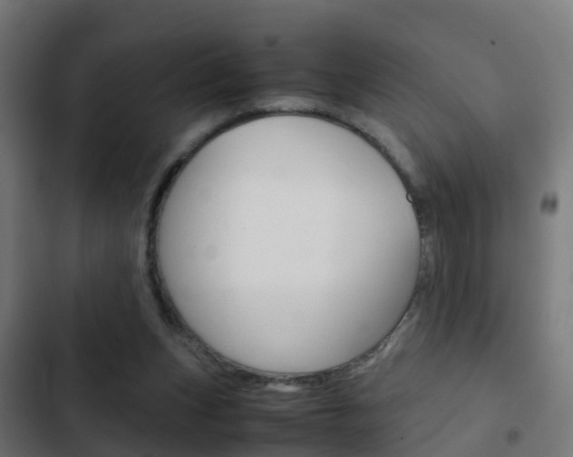 X0000103410159200809120957