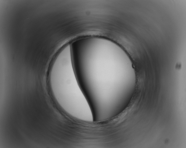 X0000103410160200809120957