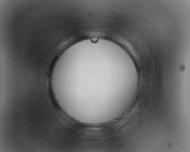 X0000103410161200809120957