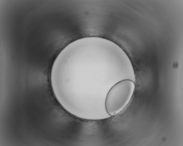 X0000103410162200809120957
