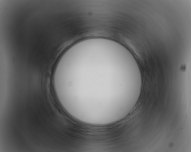 X0000103410164200809120957