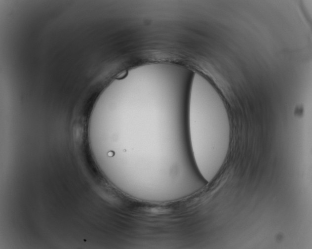 X0000103410165200809120957