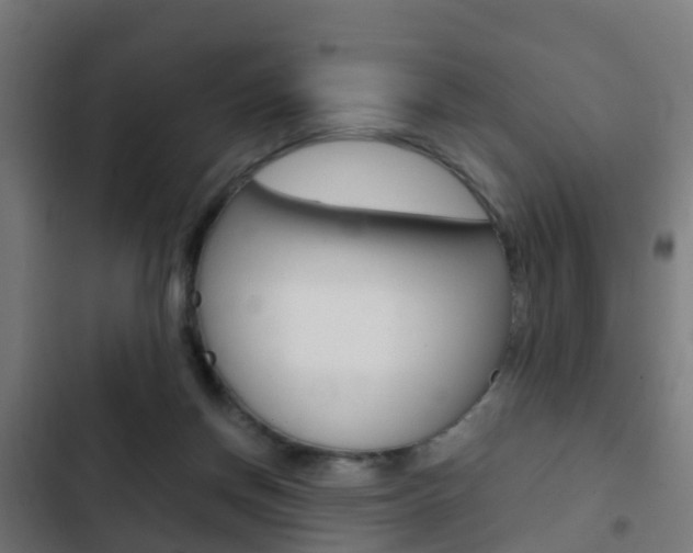 X0000103410166200809120957