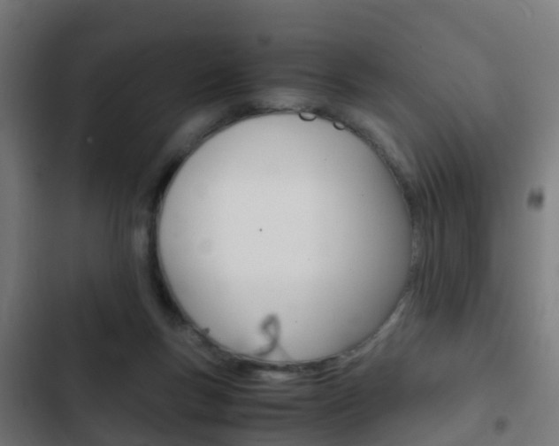 X0000103410167200809120957