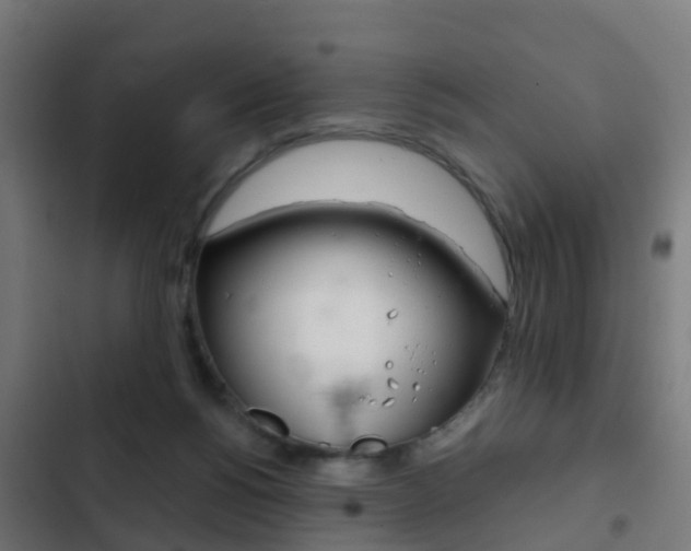 X0000103410168200809120957