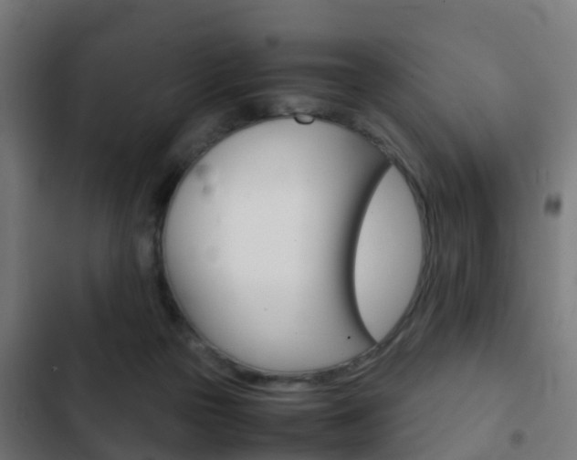 X0000103410169200809120957