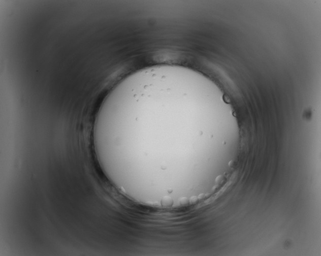X0000103410171200809120957