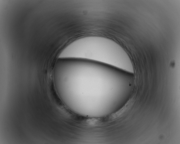 X0000103410172200809120957