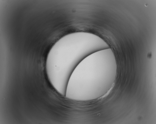 X0000103410174200809120957