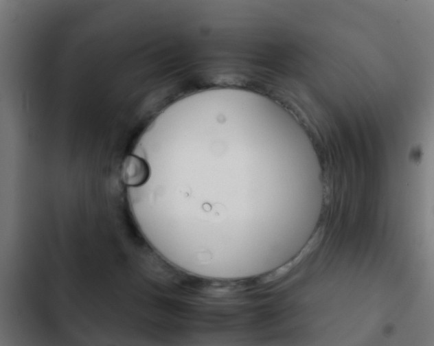 X0000103410175200809120957