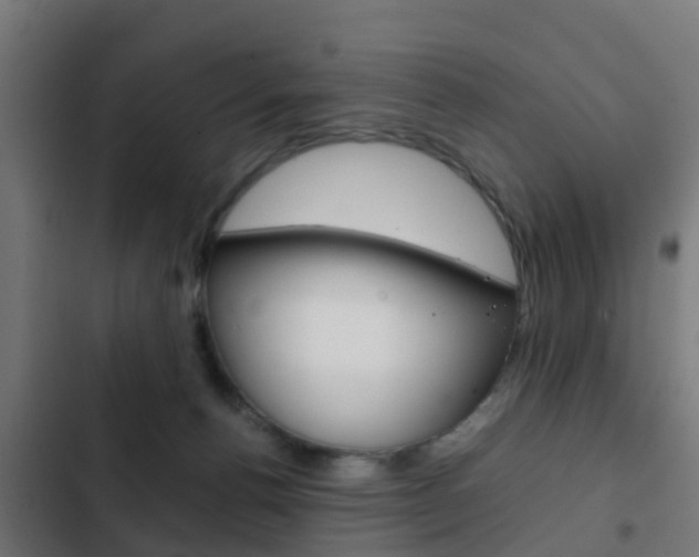 X0000103410176200809120957