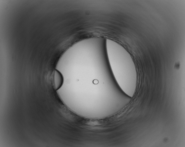 X0000103410177200809120957