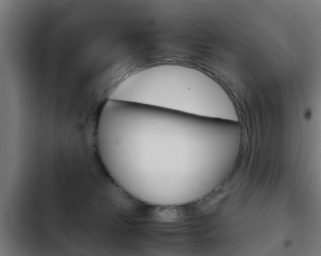 X0000103410181200809120957