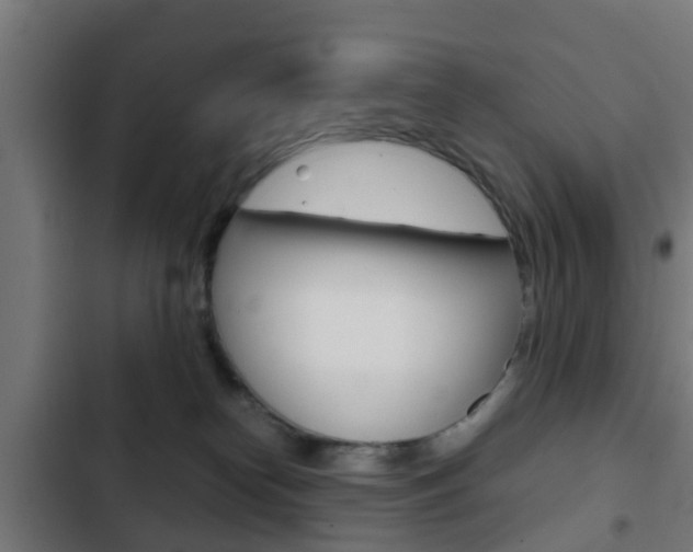 X0000103410182200809120957