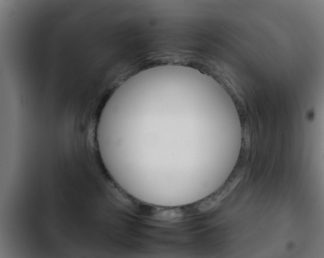 X0000103410185200809120957