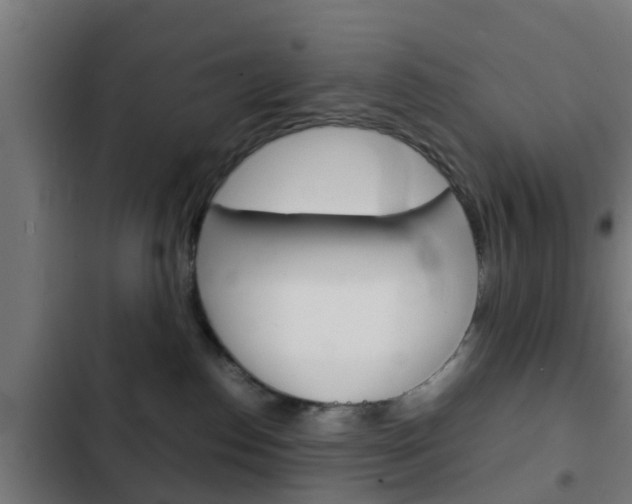 X0000103410186200809120957