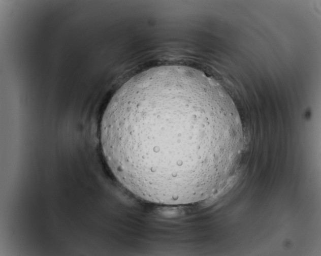 X0000103410187200809120957