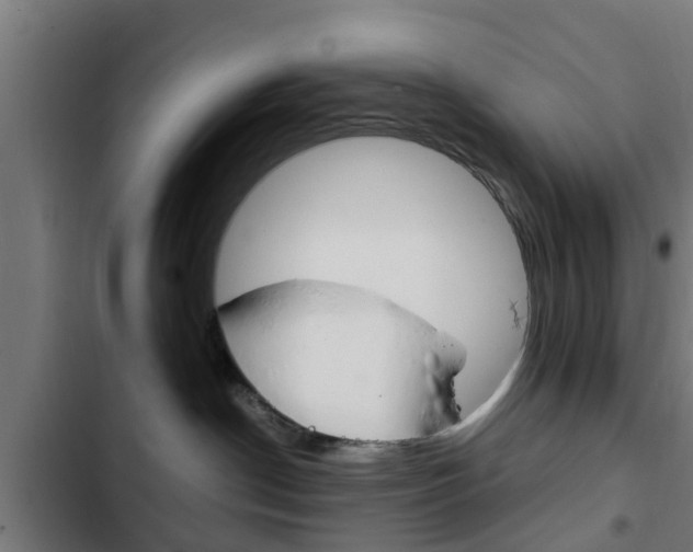X0000103410190200809120957