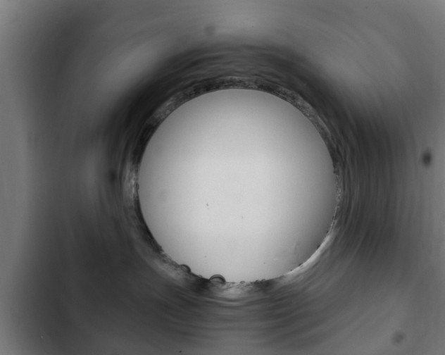 X0000103410191200809120957