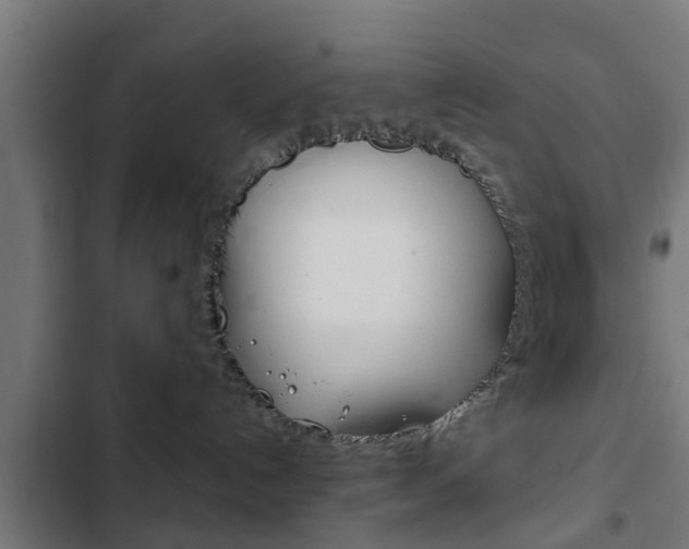 X0000103410192200809120957