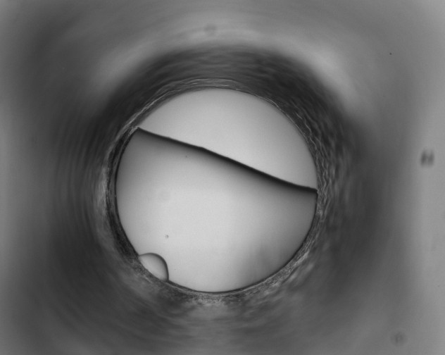 X0000103410194200809120957