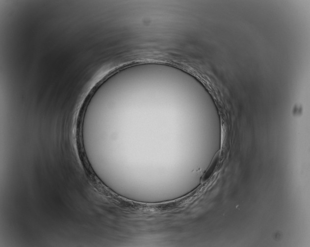 X0000103410195200809120957