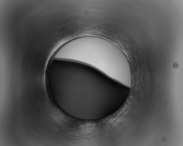 X0000103410196200809120957