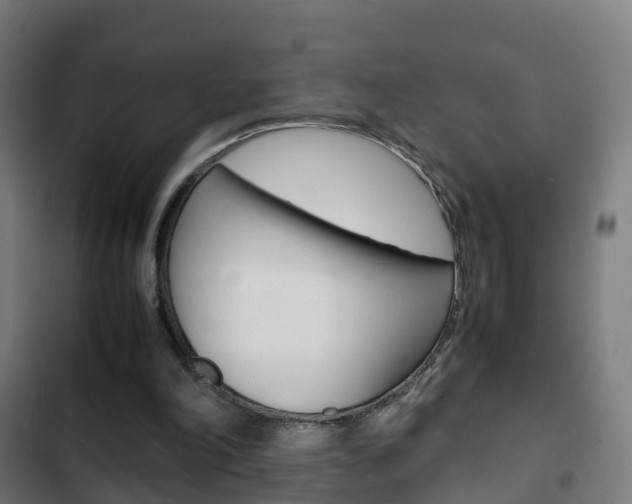 X0000103410198200809120957
