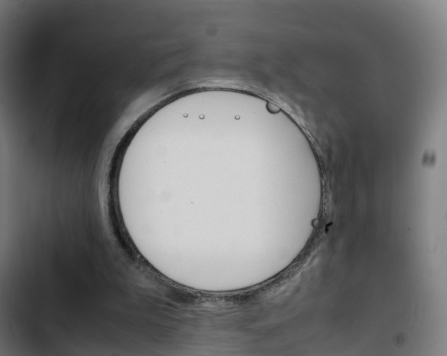 X0000103410199200809120957