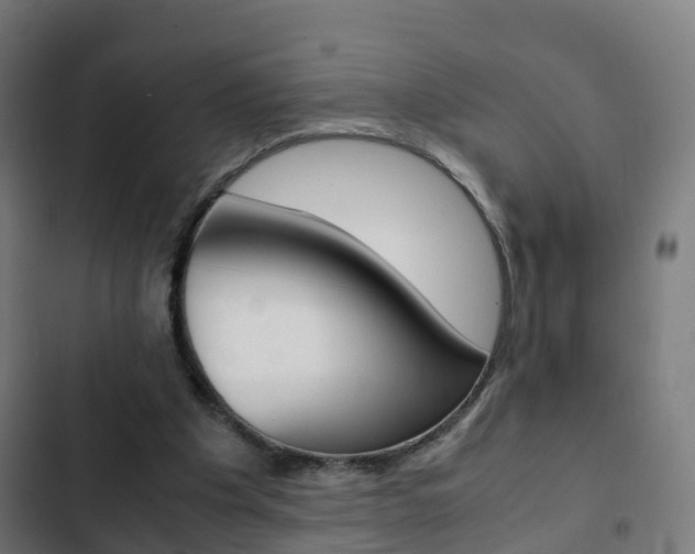 X0000103410201200809120957