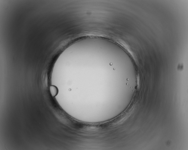 X0000103410205200809120956