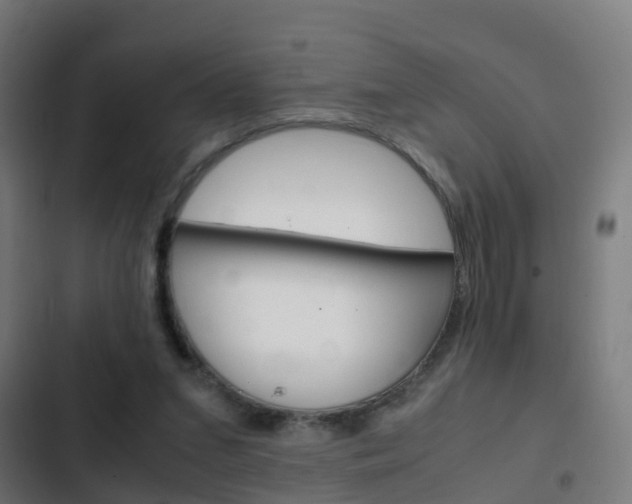 X0000103410207200809120956
