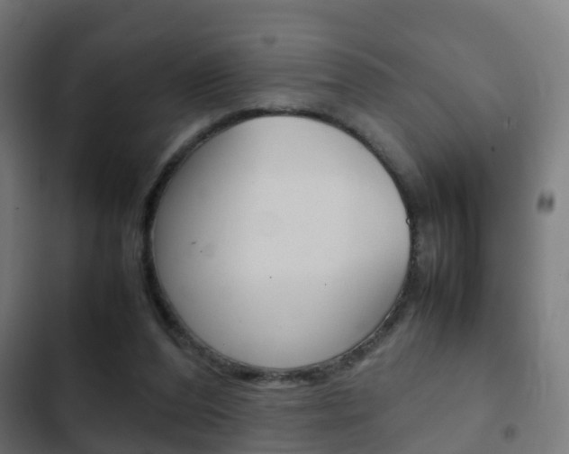 X0000103410208200809120956