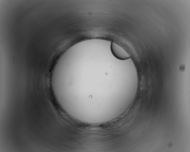 X0000103410210200809120956