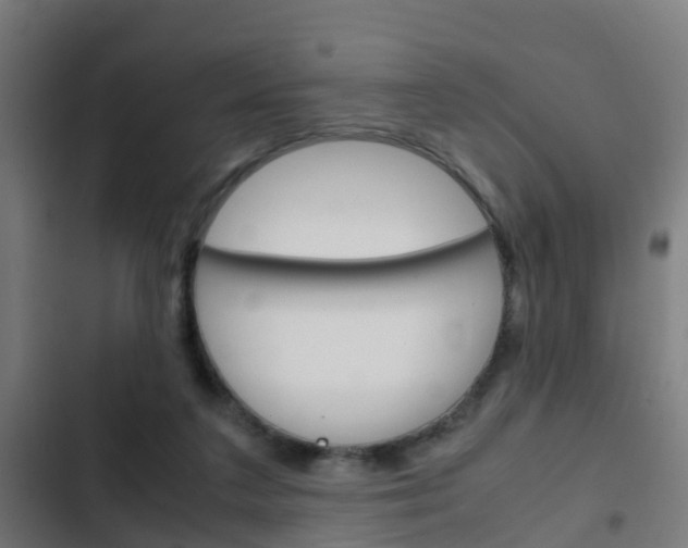 X0000103410211200809120956