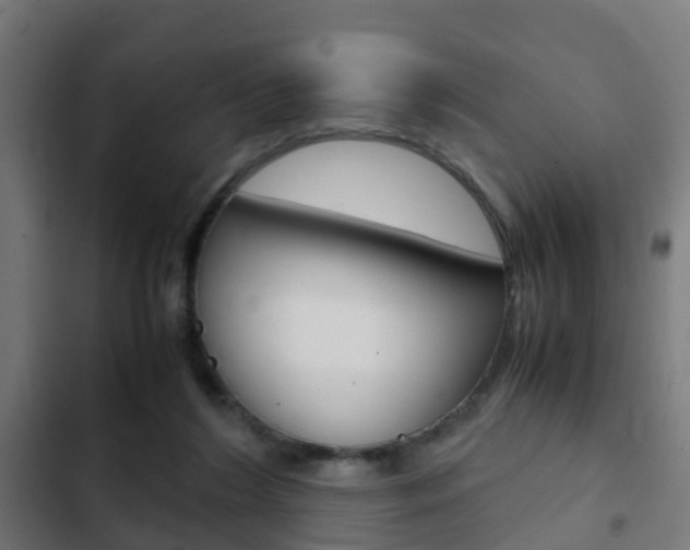 X0000103410212200809120956