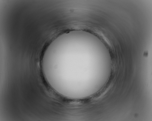 X0000103410213200809120956