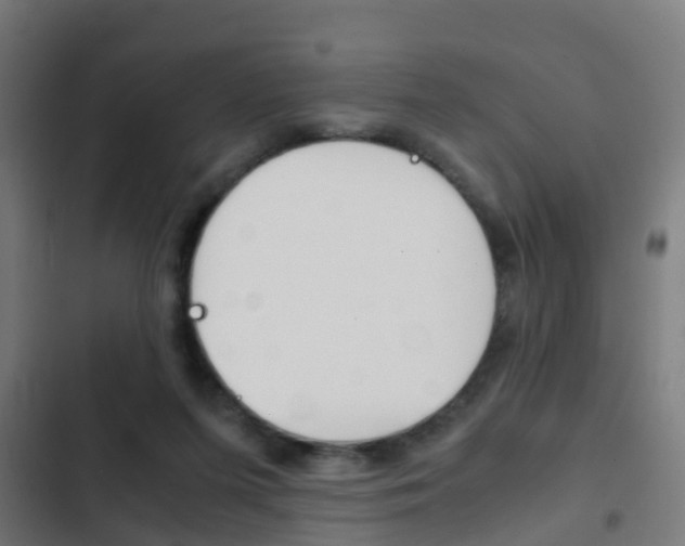 X0000103410215200809120956