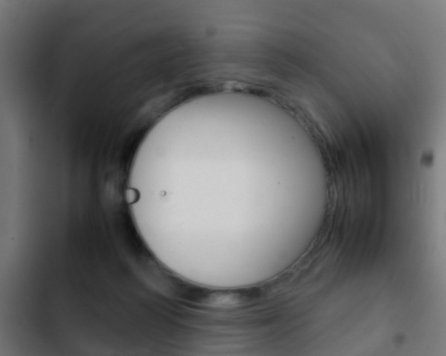X0000103410218200809120956