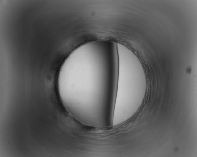 X0000103410221200809120956