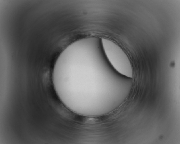 X0000103410222200809120956