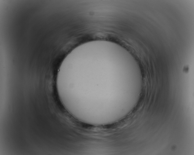 X0000103410223200809120956