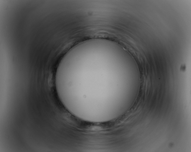 X0000103410224200809120956