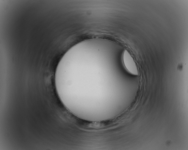 X0000103410225200809120956